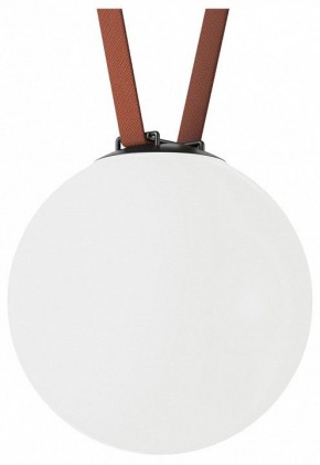 Накладной светильник Denkirs Belty Orb DK5554-BK в Ревде - revda.ok-mebel.com | фото