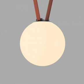 Накладной светильник Denkirs Belty Orb DK5555-BK в Ревде - revda.ok-mebel.com | фото 2
