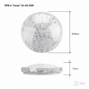 Накладной светильник Эра Классик SPB-6-24-4K (C) в Ревде - revda.ok-mebel.com | фото 6