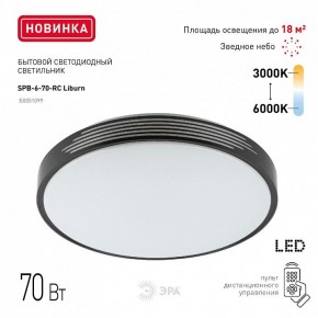 Накладной светильник Эра Классик SPB-6-70-RC Liburn в Ревде - revda.ok-mebel.com | фото 10