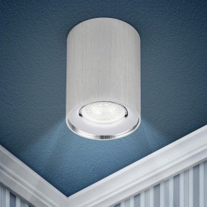 Накладной светильник Эра  OL1 GU10 SL/CH в Ревде - revda.ok-mebel.com | фото 3