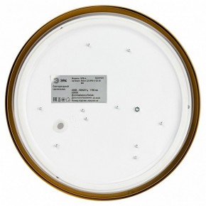 Накладной светильник Эра Relict Relict 22 SPB-6-20 4К MG в Ревде - revda.ok-mebel.com | фото 4