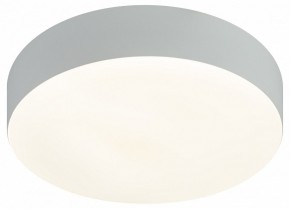 Накладной светильник Эра Relict Relict 22 SPB-6-20 4К WH в Ревде - revda.ok-mebel.com | фото 5