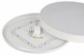 Накладной светильник Эра Relict Relict 38 SPB-6-40 4К WH в Ревде - revda.ok-mebel.com | фото 7