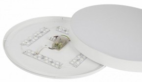 Накладной светильник Эра Relict Relict 48 Pult SPB-6-60-RC WH в Ревде - revda.ok-mebel.com | фото 11