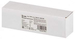 Накладной светильник Эра  TRM-S5-1-6W4K-WH в Ревде - revda.ok-mebel.com | фото 6