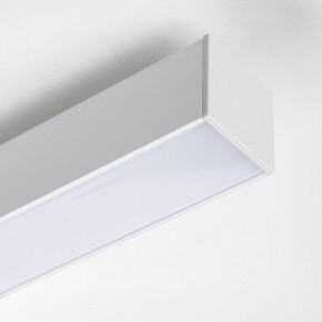 Накладной светильник Lightstar Lilla 202136 в Ревде - revda.ok-mebel.com | фото 4