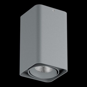 Накладной светильник Lightstar Monocco 052139-IP65 в Ревде - revda.ok-mebel.com | фото 2