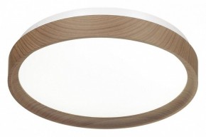 Накладной светильник Sonex Woodi 7603/CL в Ревде - revda.ok-mebel.com | фото 4