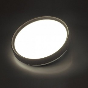 Накладной светильник Sonex Woodi 7627/CL в Ревде - revda.ok-mebel.com | фото 3