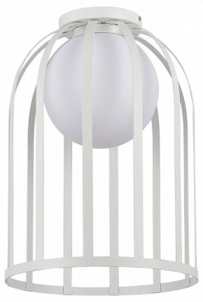 Накладной светильник ST-Luce Nordic SL6129.502.01 в Ревде - revda.ok-mebel.com | фото
