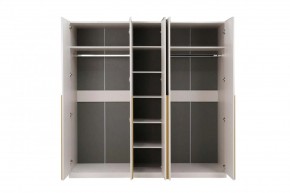 НИКОЛЬ 25 Шкаф 5-ти створчатый в Ревде - revda.ok-mebel.com | фото 3