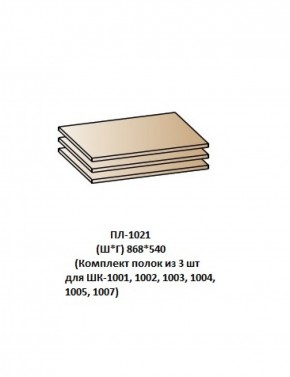 ПЛ-1021 (Комплект полок из 3 шт для ШК-1001, 1002, 1003, 1004, 1005, 1007) в Ревде - revda.ok-mebel.com | фото