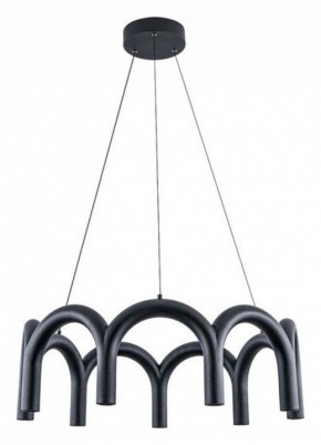 Подвесная люстра Arte Lamp Warhol A3258LM-45BK в Ревде - revda.ok-mebel.com | фото 2