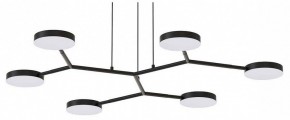 Подвесная люстра Favourite Vorago 4632-6P в Ревде - revda.ok-mebel.com | фото