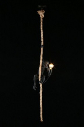 Подвесной светильник Aployt Magali APL.309.16.01 в Ревде - revda.ok-mebel.com | фото 3