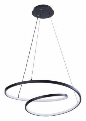 Подвесной светильник Arte Lamp Millo A3893SP-30BK в Ревде - revda.ok-mebel.com | фото 2