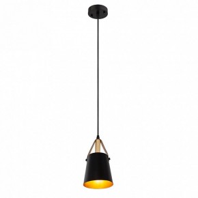 Подвесной светильник Arte Lamp Thomas A7032SP-1BK в Ревде - revda.ok-mebel.com | фото 3