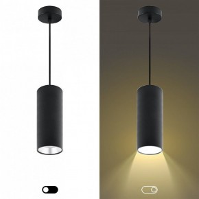 Подвесной светильник Эра  PL12 GX53 BK/SL в Ревде - revda.ok-mebel.com | фото 5