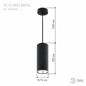 Подвесной светильник Эра  PL12 GX53 BK/SL в Ревде - revda.ok-mebel.com | фото 8
