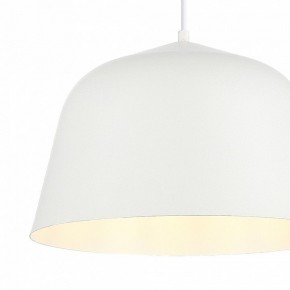 Подвесной светильник EVOLUCE Blank SLE1805-503-01 в Ревде - revda.ok-mebel.com | фото 6