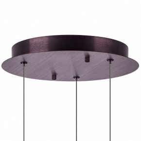Подвесной светильник Lightstar Caramello 796139 в Ревде - revda.ok-mebel.com | фото 13