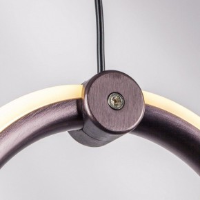 Подвесной светильник Lightstar Caramello 796349 в Ревде - revda.ok-mebel.com | фото 10