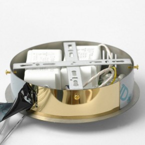 Подвесной светильник Lussole Citrus LSP-7158 в Ревде - revda.ok-mebel.com | фото 6