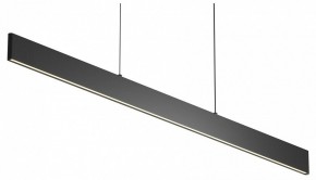 Подвесной светильник Maytoni Ephoria P109PL-36W2.7-6K-B в Ревде - revda.ok-mebel.com | фото