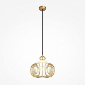 Подвесной светильник Maytoni Levitation MOD376PL-01G в Ревде - revda.ok-mebel.com | фото 2