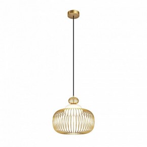 Подвесной светильник Maytoni Levitation MOD376PL-01G в Ревде - revda.ok-mebel.com | фото 3
