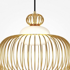 Подвесной светильник Maytoni Levitation MOD376PL-01G в Ревде - revda.ok-mebel.com | фото 6
