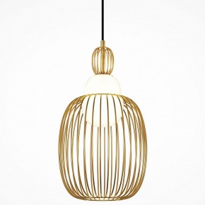 Подвесной светильник Maytoni Levitation MOD376PL-01G1 в Ревде - revda.ok-mebel.com | фото