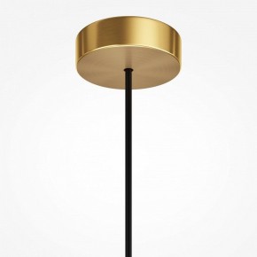 Подвесной светильник Maytoni Levitation MOD376PL-01G1 в Ревде - revda.ok-mebel.com | фото 7