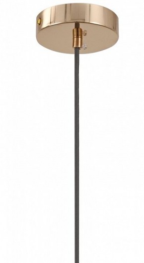 Подвесной светильник Moderli Charm V11176-1P в Ревде - revda.ok-mebel.com | фото 8