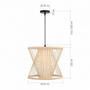 Подвесной светильник ST-Luce ALMA SL6241.503.01 в Ревде - revda.ok-mebel.com | фото 5
