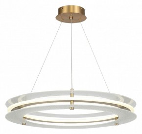 Подвесной светильник ST-Luce FAGY SL6245.203.01 в Ревде - revda.ok-mebel.com | фото 2
