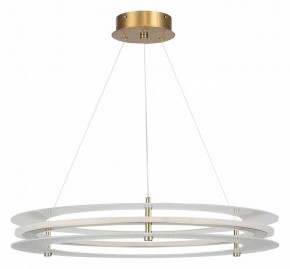 Подвесной светильник ST-Luce FAGY SL6245.203.01 в Ревде - revda.ok-mebel.com | фото 3