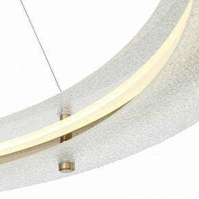Подвесной светильник ST-Luce FAGY SL6245.213.01 в Ревде - revda.ok-mebel.com | фото 6
