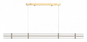 Подвесной светильник ST-Luce FAGY SL6245.223.01 в Ревде - revda.ok-mebel.com | фото 3