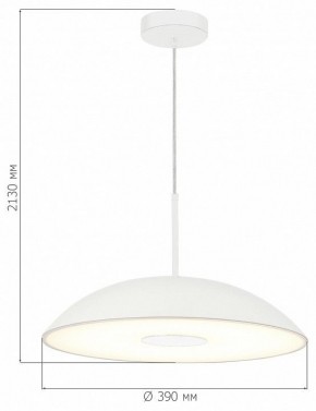 Подвесной светильник ST-Luce Lido SL6128.503.01 в Ревде - revda.ok-mebel.com | фото 4