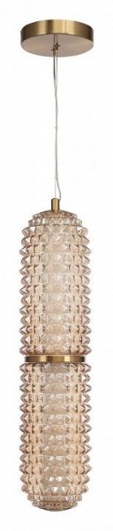 Подвесной светильник ST-Luce SAGUARO SL6144.303.01 в Ревде - revda.ok-mebel.com | фото 3
