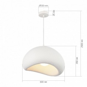Подвесной светильник ST-Luce WABI SABI SL1522.513.01 в Ревде - revda.ok-mebel.com | фото 5