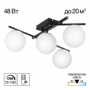 Потолочная люстра Citilux Dorsy CL223142 в Ревде - revda.ok-mebel.com | фото 9
