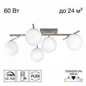 Потолочная люстра Citilux Dorsy CL223151 в Ревде - revda.ok-mebel.com | фото 2
