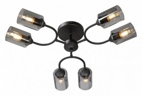 Потолочная люстра Vitaluce V2823 V2823-1/6PL в Ревде - revda.ok-mebel.com | фото 2