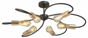 Потолочная люстра Vitaluce V3076 V3076-1/6PL в Ревде - revda.ok-mebel.com | фото 3