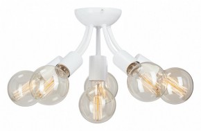 Потолочная люстра Vitaluce V3927 V3927-0/6PL в Ревде - revda.ok-mebel.com | фото
