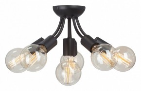 Потолочная люстра Vitaluce V3927 V3927-1/6PL в Ревде - revda.ok-mebel.com | фото