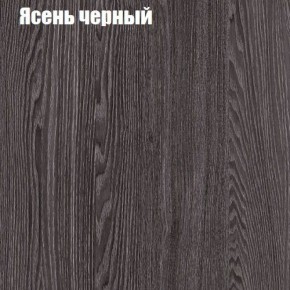 Прихожая ДИАНА-4 сек №10 (Ясень анкор/Дуб эльза) в Ревде - revda.ok-mebel.com | фото 3